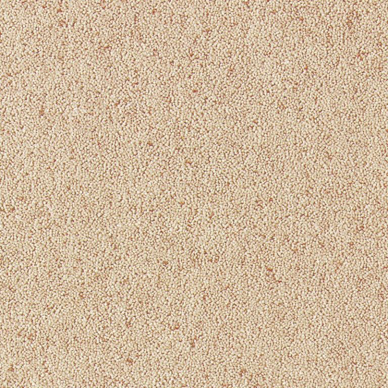 Carpets from the leading brands at amazing value